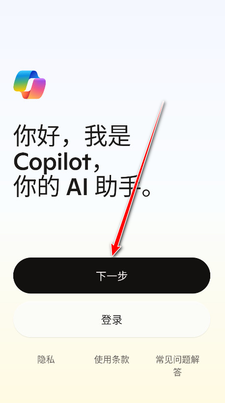 Microsoft Copilot°