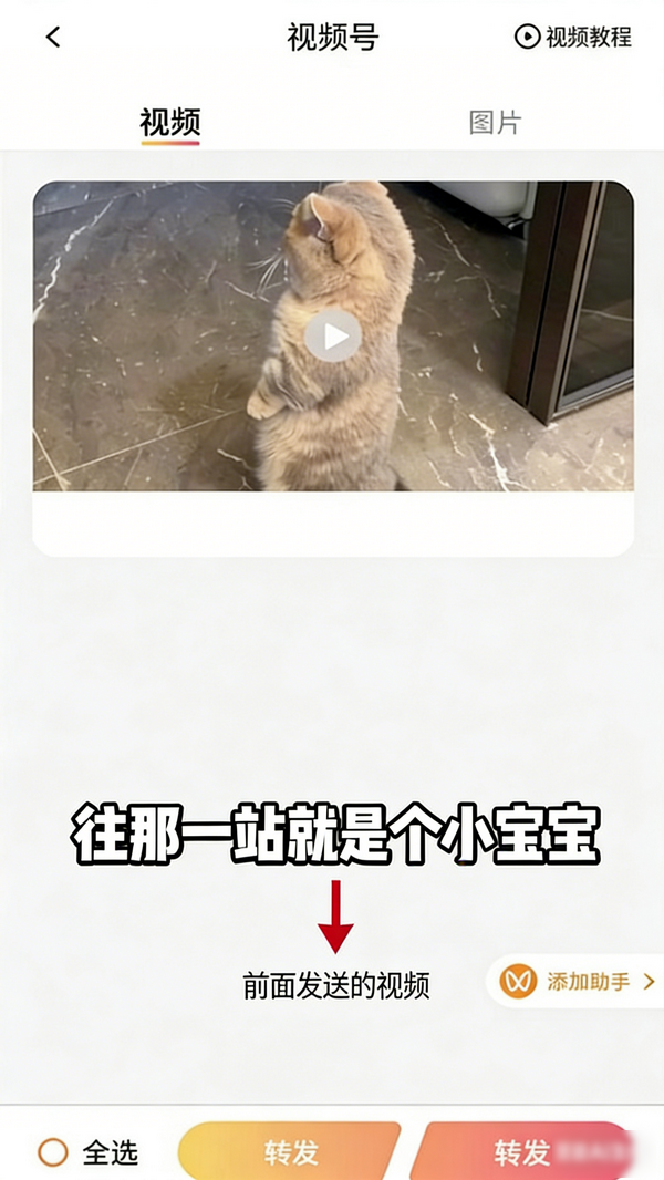 快存图最新版 快存图最新版