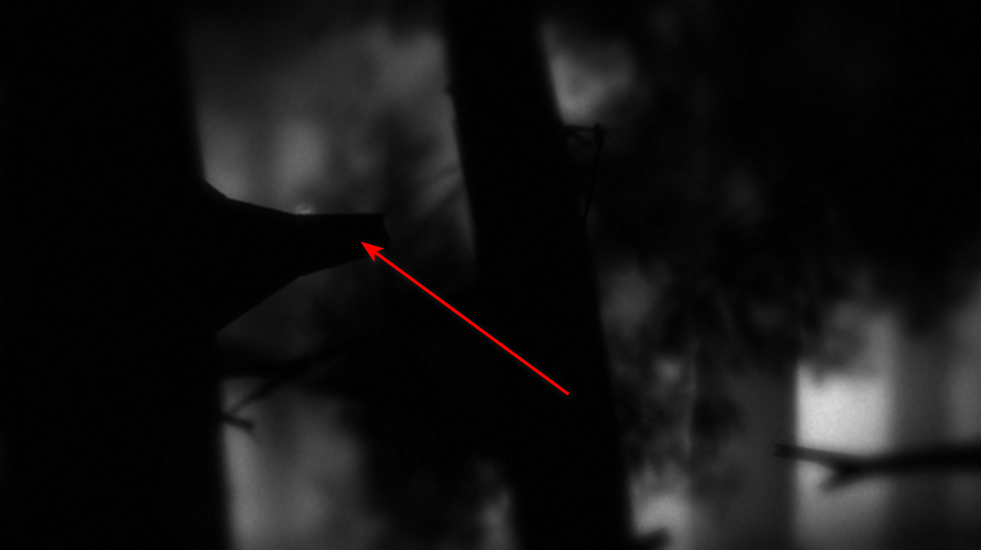 地狱边境手机版中文版 地狱边境手机版中文版