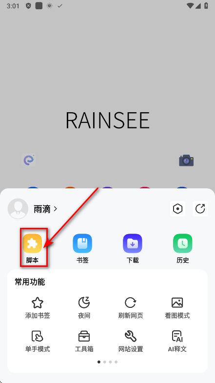 rains°