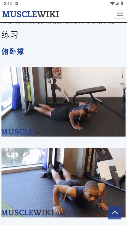 MuscleWikiֻͼ0