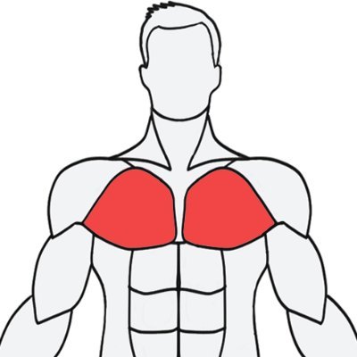 MuscleWikiֻ