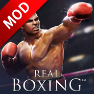 ʵȭ޽Ұ°汾(Real Boxing) 2.11.0׿