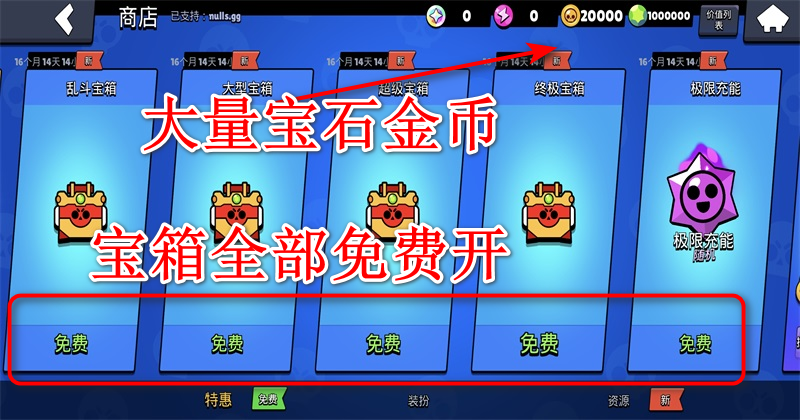 ��Ұ�Ҷ�������ʯ��Ұ�(Null��s Brawl)