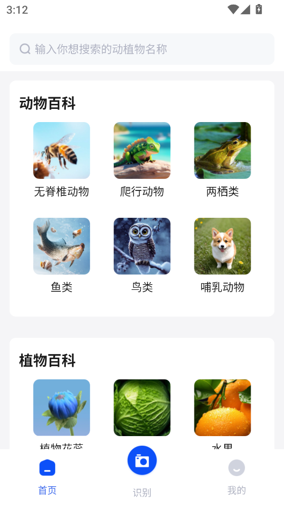 �����������°�