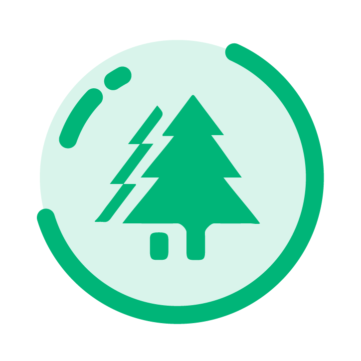 ֥���SSVIP�ٷ��� 2.0.6.1��׿��