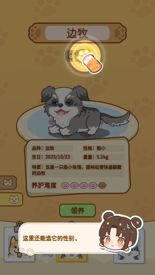 ��צ����Ϸ