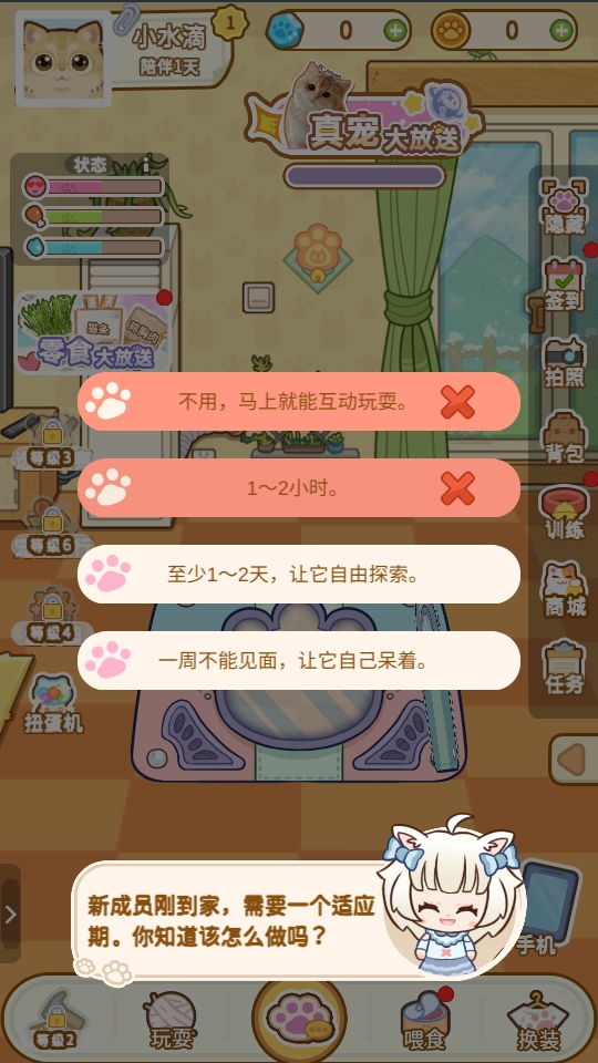 ��צ����Ϸ