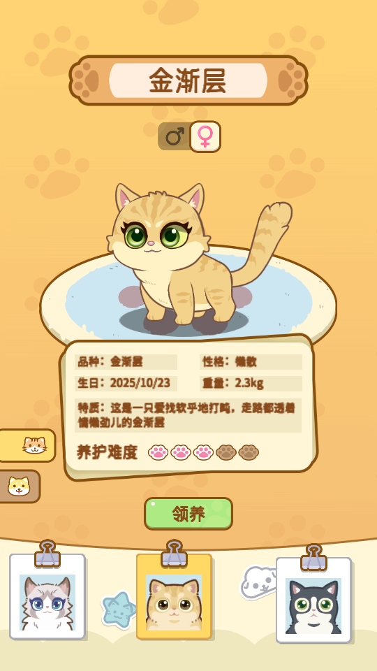 ��צ����Ϸ