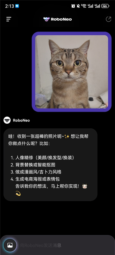 RoboNeo��ͼai���� 1.21.1���°��ͼ1