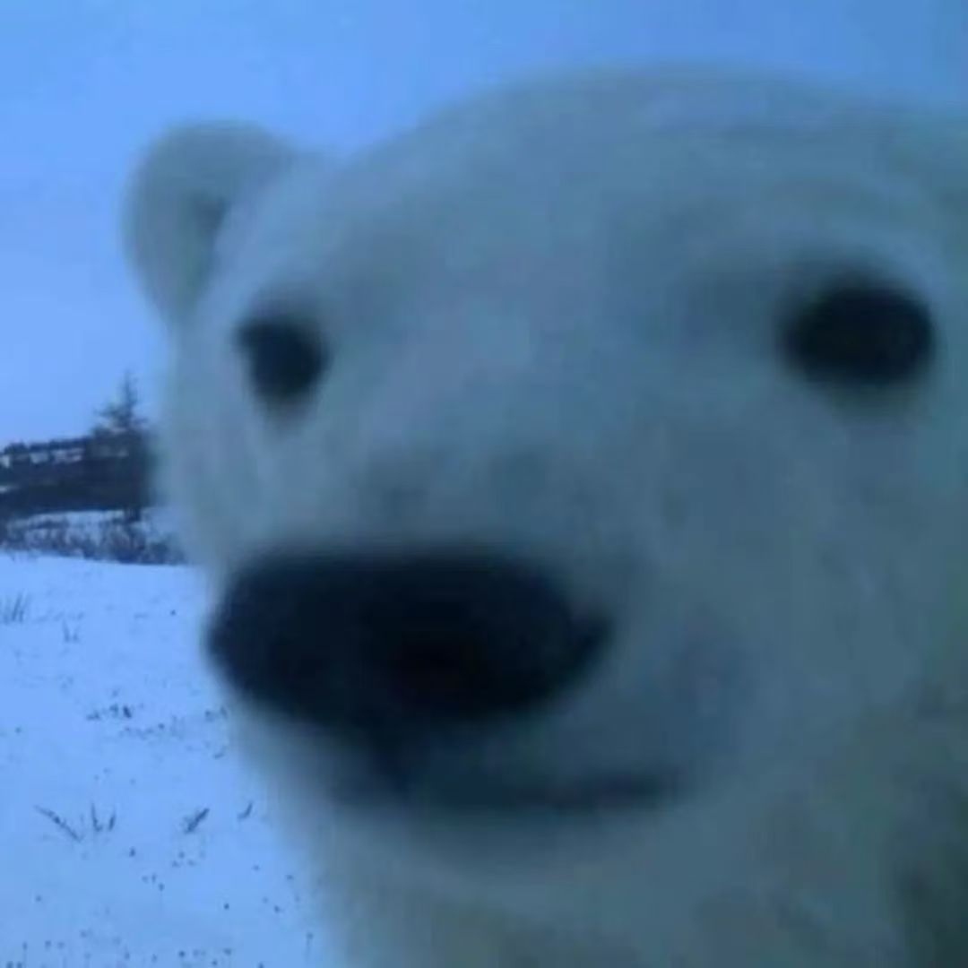 С���QԴ�ٷ��� 1.7.5��׿��