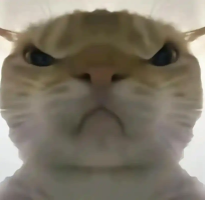 �������ж����󹤾����°� 1.0��׿��