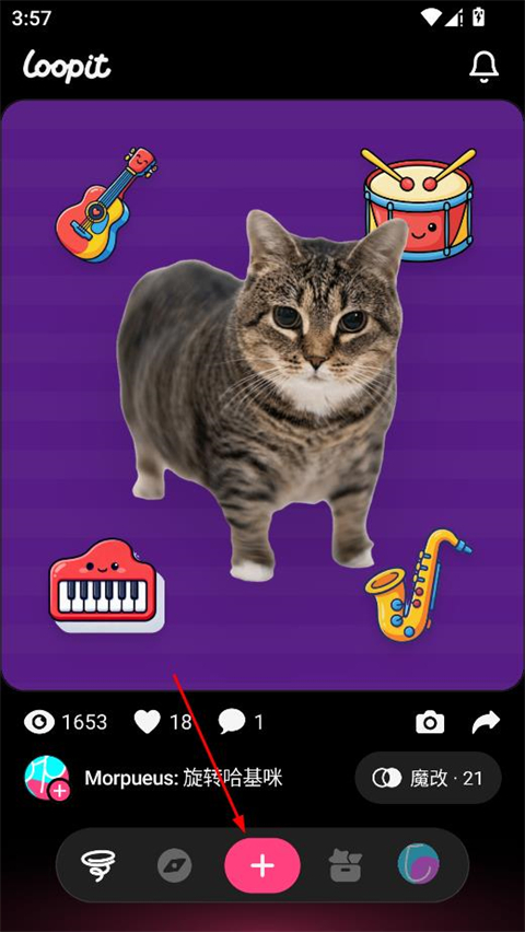 Loopit�ٷ���