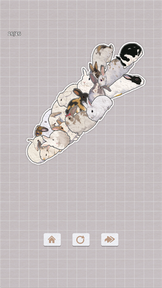 ����һ��������ֻ���