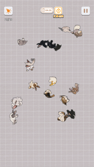 ����һ��������ֻ���