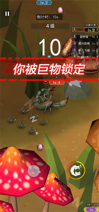 ����������Ҷ�2026���°汾