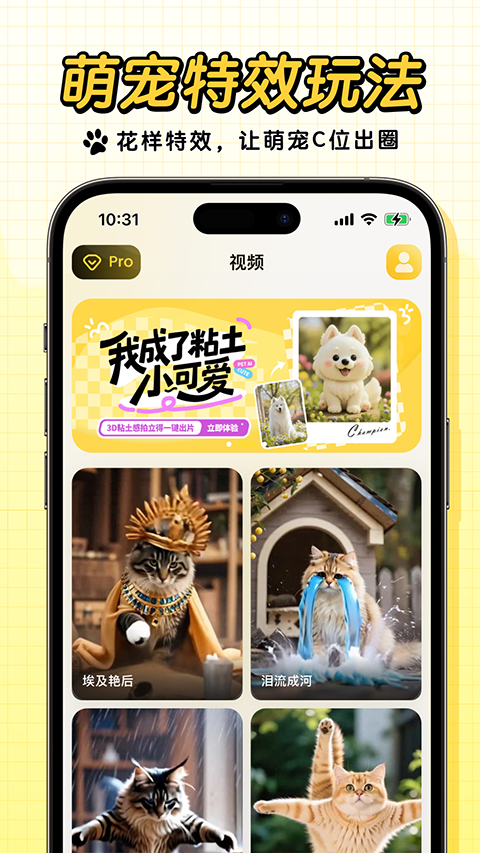 �������°汾