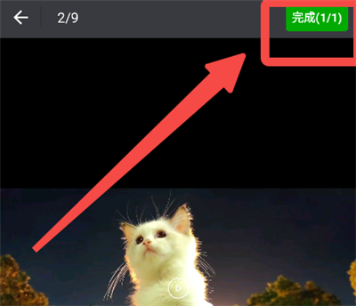 �������ּ���2026���°汾