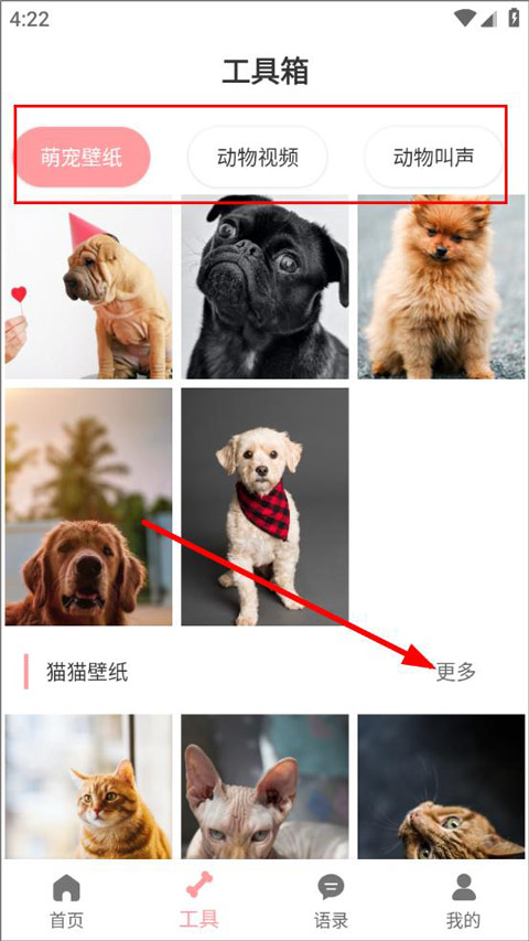 ���﷭�����ٷ��� 3.1��׿���ͼ1