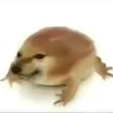 ����ɳ̲ 5.4.2���°�