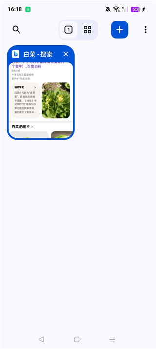 cromite�ٷ��� 145.0.7632.120��׿���ͼ1