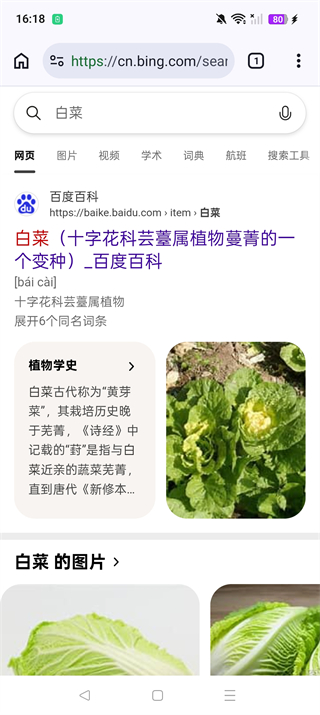 cromite�ٷ��� 145.0.7632.120��׿���ͼ0