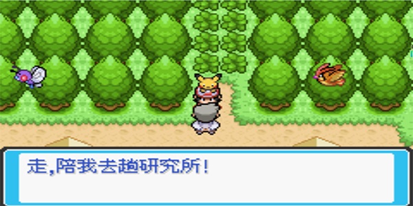 �ڴ�����ȥ��Ƥ��������