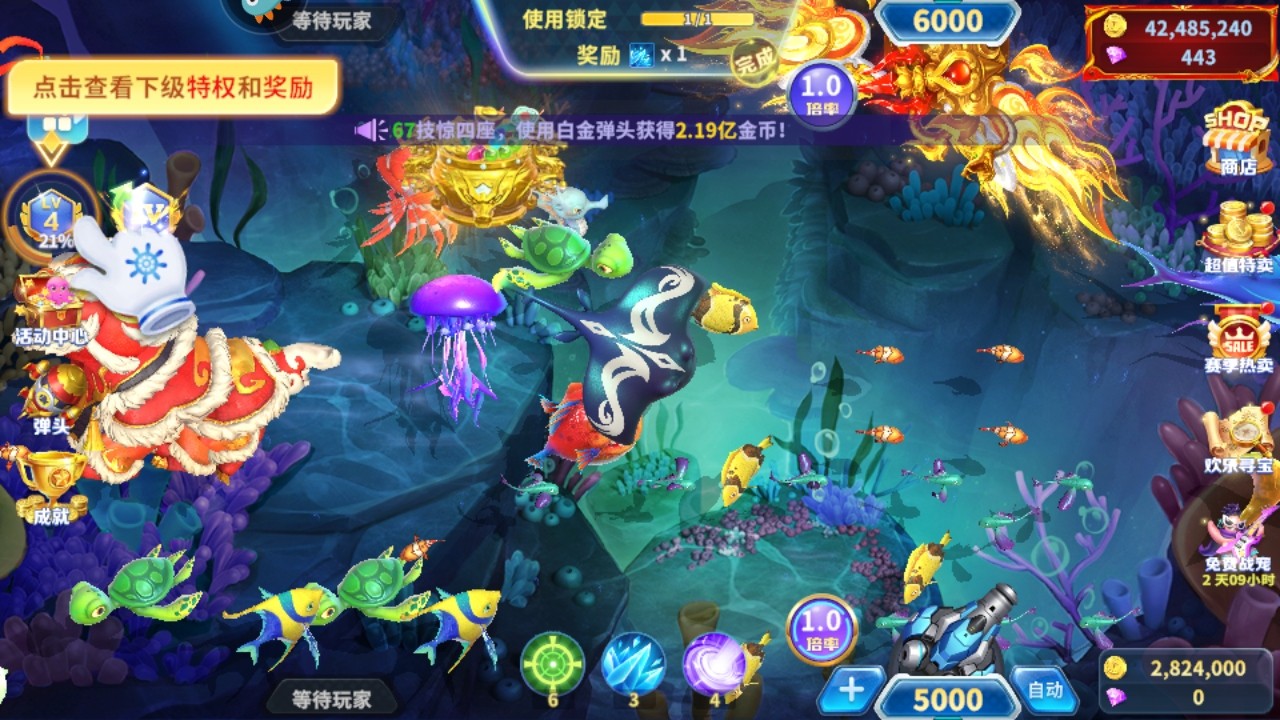 ���˽ֻ���������