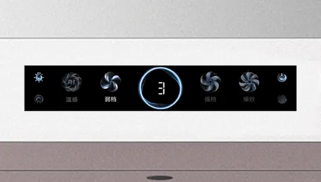 �ϰ�ʳ������