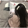 king�Ż�������°汾 ��king�Ż�1.0�ֻ���