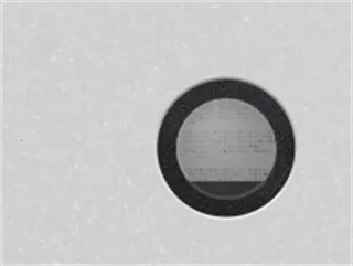 NOMO CAM2026���°汾