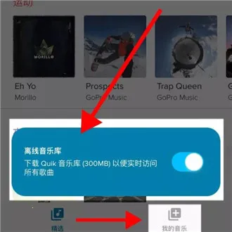 GoPro Quik2026���°汾