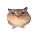 �ͰͲ�һ����ٷ��� 1.0 �ֻ���