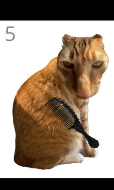 ��è��ë���� 1.0��׿���ͼ3