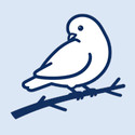bbspace�ٷ��� 1.6.32��׿��