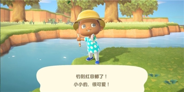 ����֮ɭ�ڴ�¶Ӫ�ٷ���(Pocket Camp C)��ͼ0
