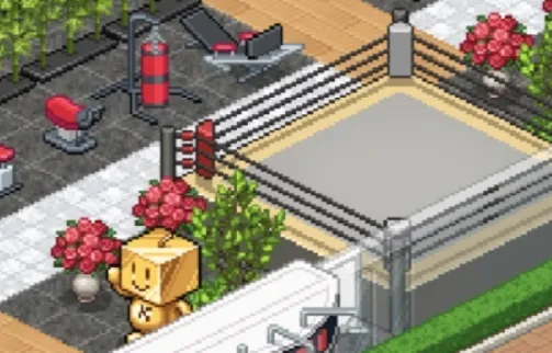 ˤ����̨�������°汾