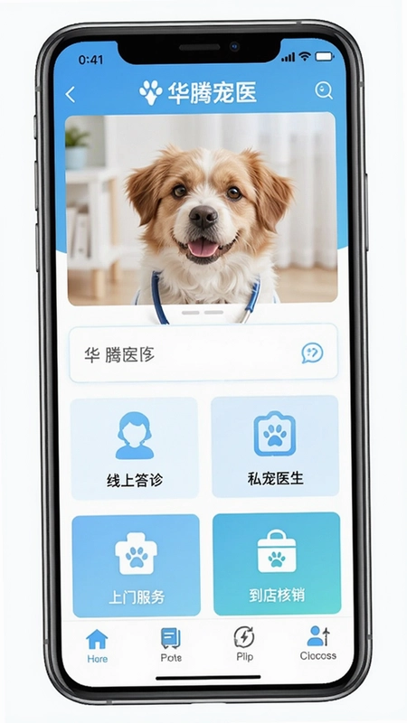 ���ڳ�ҽ�ֻ�Ӧ���������ͼ��չʾ���ϴ��˽��ҽ�������ŷ��񡢵�������ȹ�����ڣ�ͻ�������ڳ�ҽ��Ϊ����ҽ����Ч���񳡾�