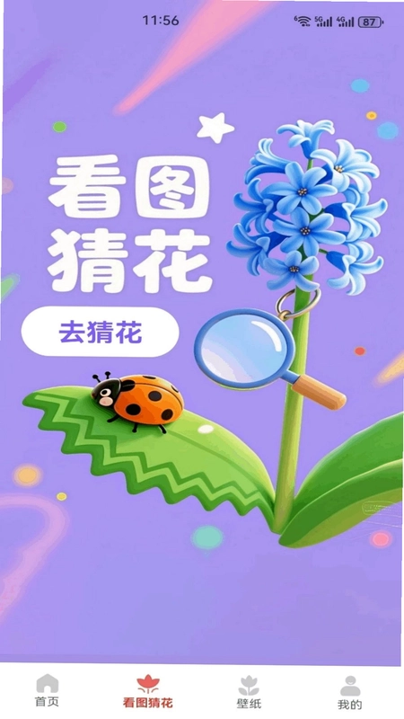 ���ǻ���Ԥ��ͼ