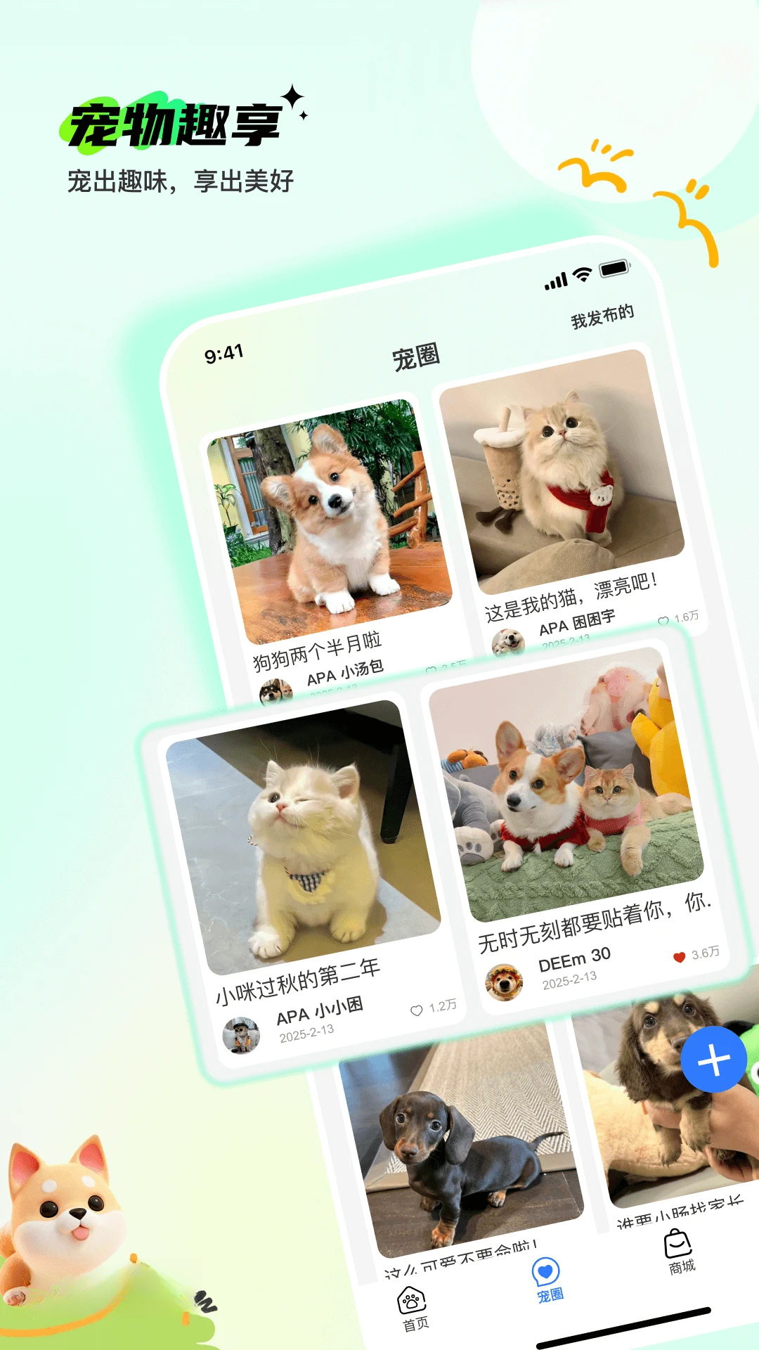 Pet�������ѹ���