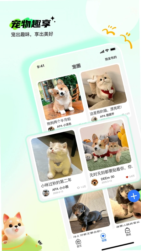 Pet����Ԥ��ͼ