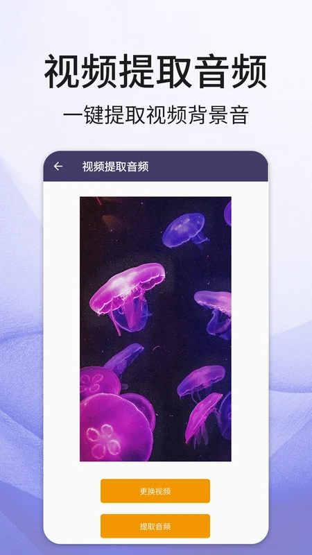 �ڴ���Ƶ����Ԥ��ͼ