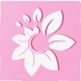 ����ֱ�� 1.31.02 ���°�