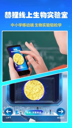 ������΢���걾�۲첽��