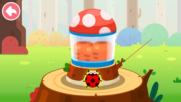 ����ɭ����ʳ8