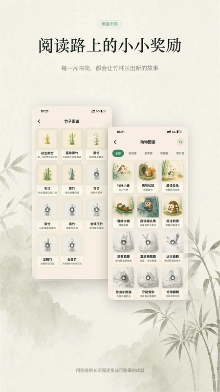��è���Ԥ��ͼ