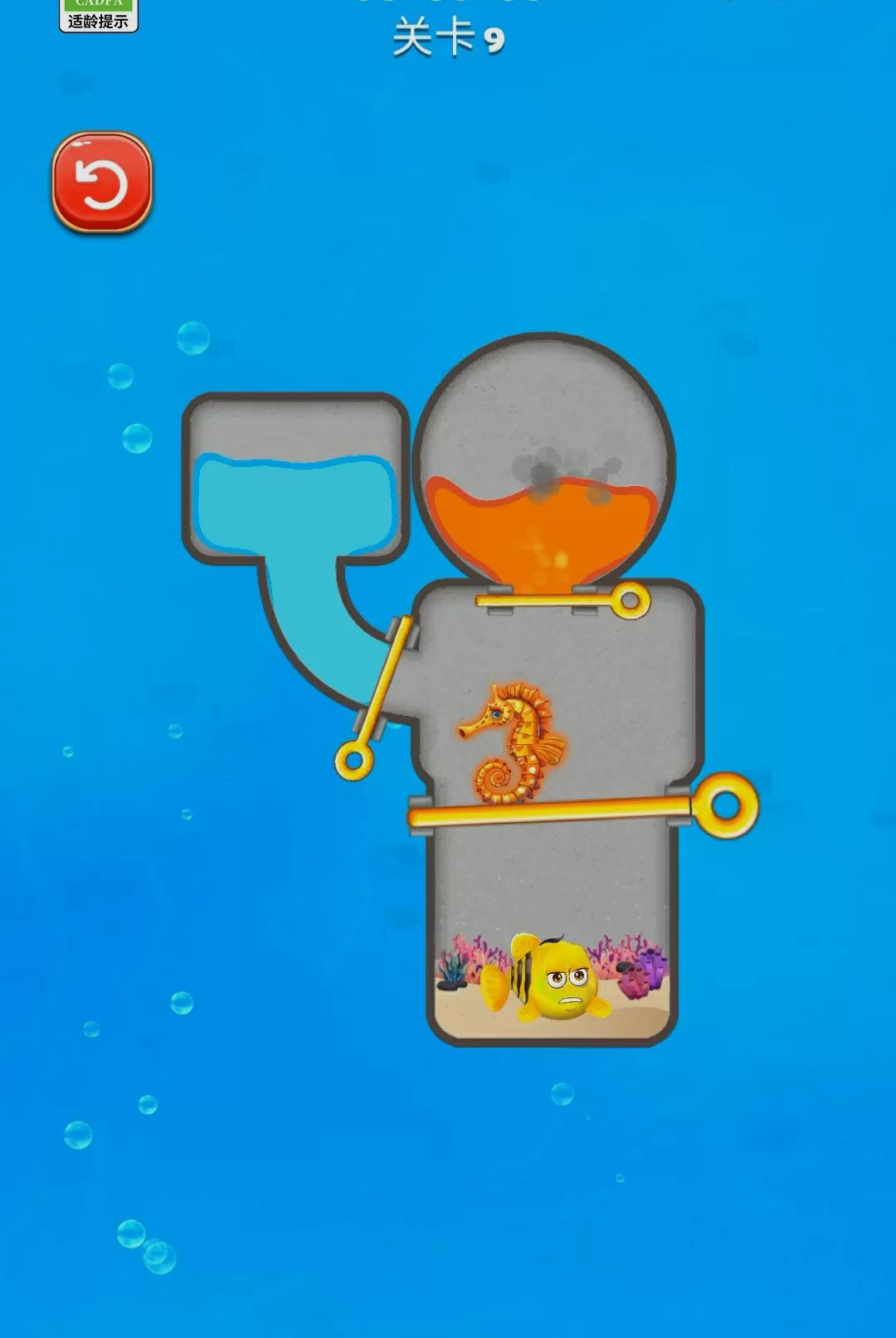 �Ⱦ���������ϷԤ��