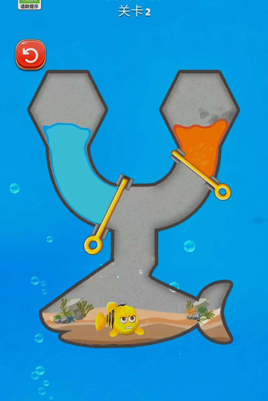 �Ⱦ�������Ƥ��չʾ