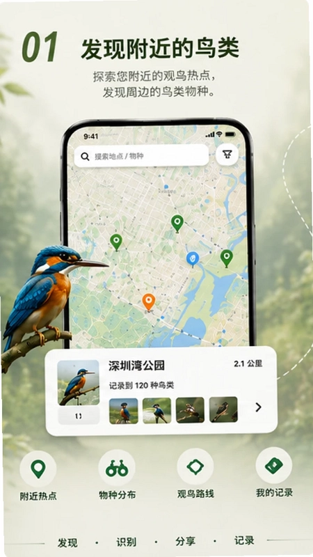 Go BirdingԤ��ͼ