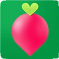 �������APP 13.11.2 ��׿��